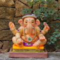 12' Gattu Bal DPU