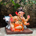 18' Nandi Bal DO