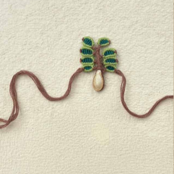 Seed Rakhi pack (with chawal and Kumkum) - Tree Rakhi with Pumpkin, Amaranthus, Purslane seeds