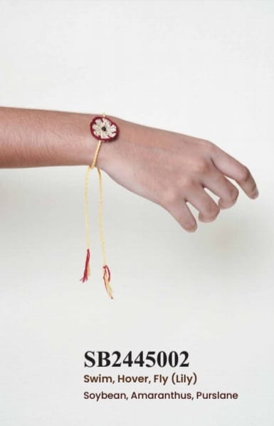 Seed Rakhi pack (with chawal and kumkum) - Love is in the Air - Loofah - (SB2445002) - Seeds : malabar, Spinach, Amaranthus, Purslane