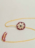 Seed Rakhi pack (with chawal and kumkum) - Love is in the Air - Loofah - (SB2445002) - Seeds : malabar, Spinach, Amaranthus, Purslane