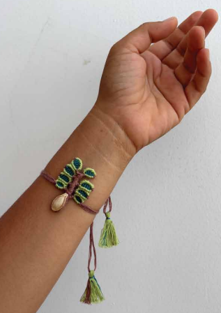Seed Rakhi pack (with chawal and Kumkum) - Tree Rakhi with Pumpkin, Amaranthus, Purslane seeds