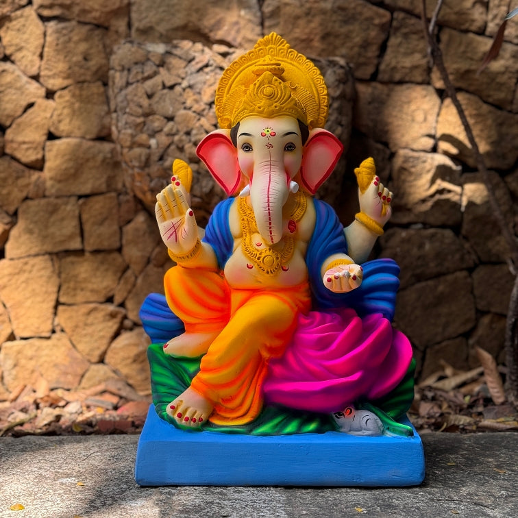 20" Gulaab NO 6 CM