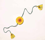 Seed Rakhi Pack (with chawal and kumkum) - Love is in the Air (SB2375001) - Seeds : Roselle, Amaranthus, Purslane, Basil
