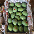 Langada mangoes