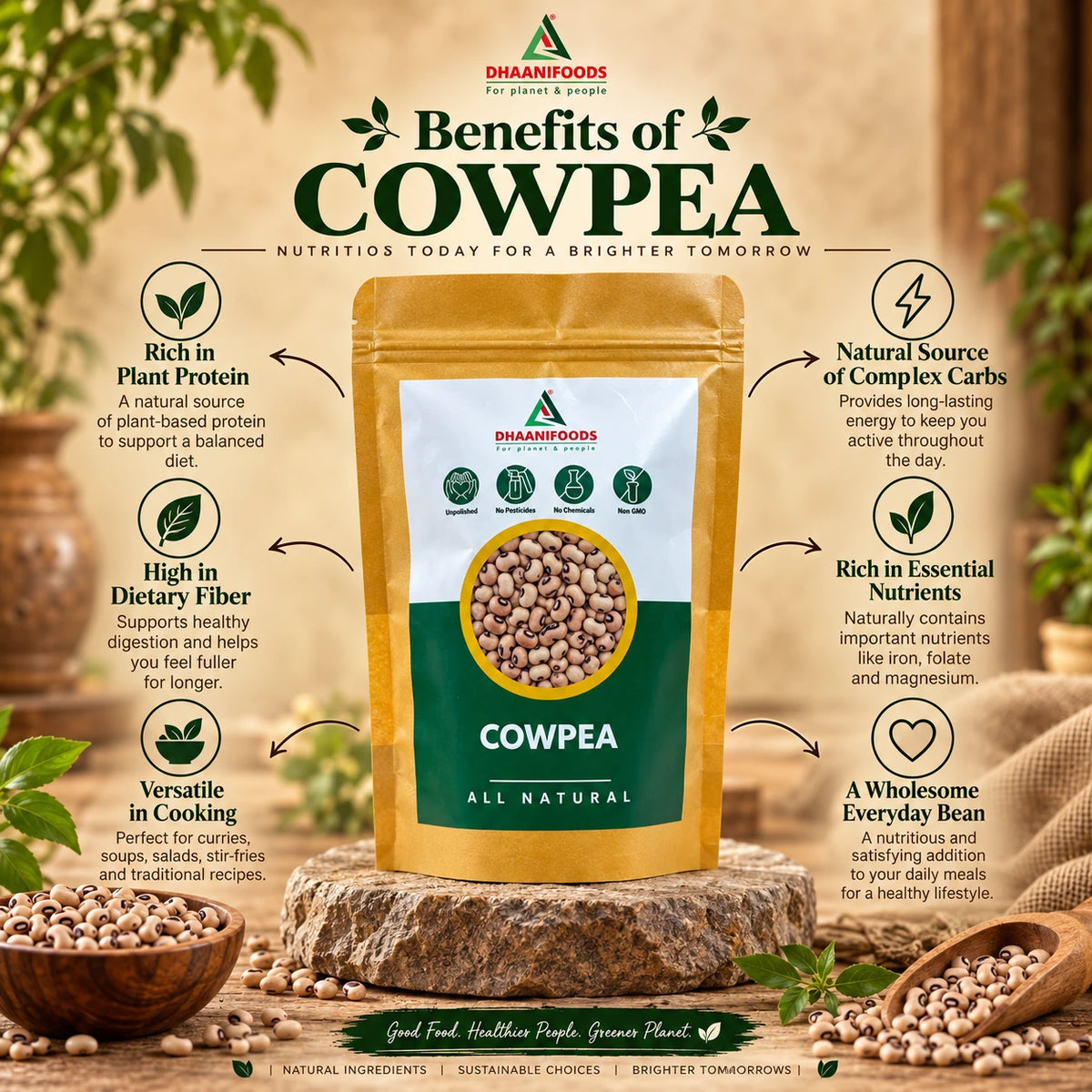 Cow Pea Chauli (Big)