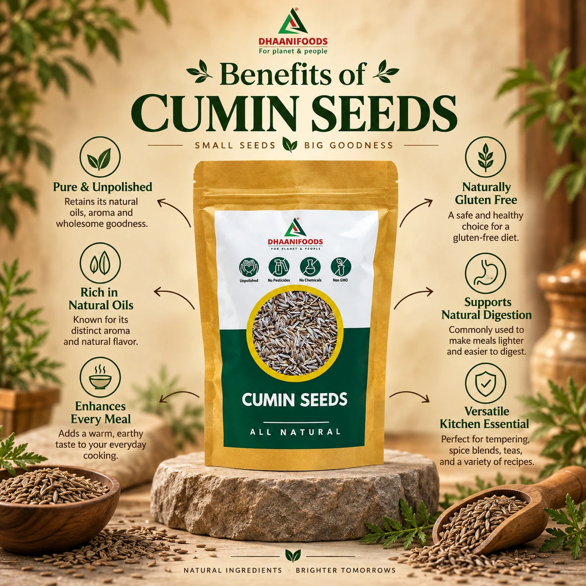 Cumin Seeds (Jeera) | Whole Aromatic Spice for Cooking | Dhaani Foods
