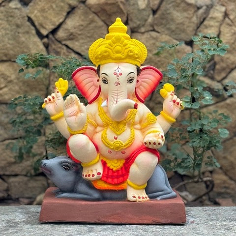 16" Guruji talim no 12 CMNM