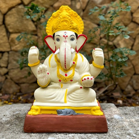 14 inch Aashan mandi no 12 NM