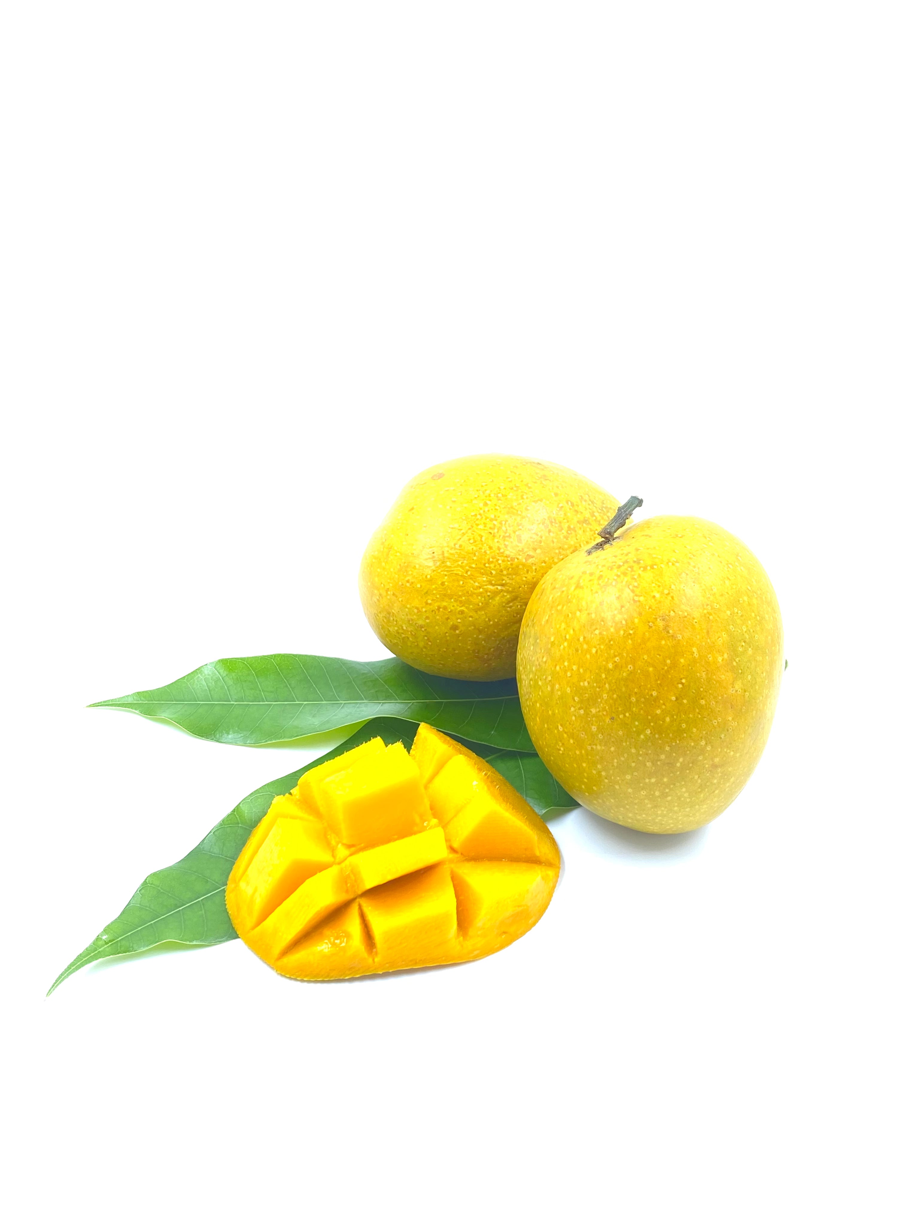 Devgad Hapus Mangoes (Alphonso) Dhaani Foods | Premium Devgad Aam | Naturally Ripened Mangoes
