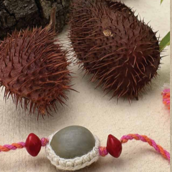 Seed Rakhi pack (with chawal and kumkum) - Fever Nut with Okra, Amaranthus, purslane seeds