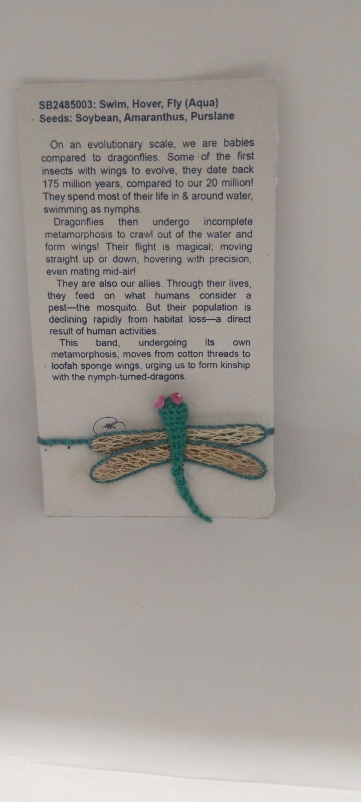 Seed Rakhi pack (with Kumkum & chawal) - Swim, Hover, Fly (Aqua) (SB2485003) - Seeds :  soyabean amaranthus purslane