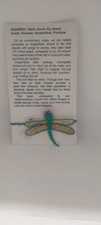 Seed Rakhi pack (with Kumkum & chawal) - Swim, Hover, Fly (Aqua) (SB2485003) - Seeds :  soyabean amaranthus purslane
