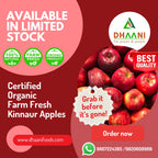 Fresh Apples | Premium Quality (Available Only in Mumbai)