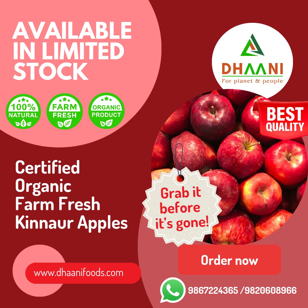 Fresh Apples | Premium Quality (Available Only in Mumbai)