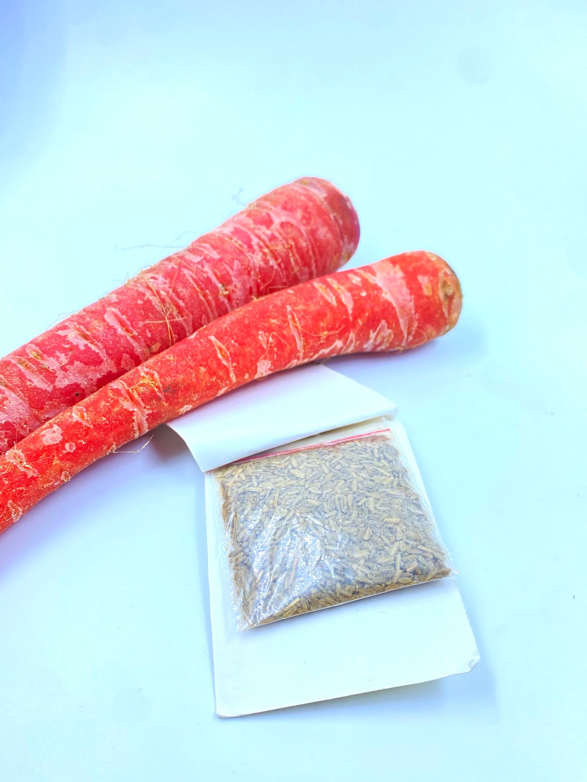 Desi Gajar Seeds – Sweet & Juicy Carrots | High Yield | Easy Home Gardening Seeds