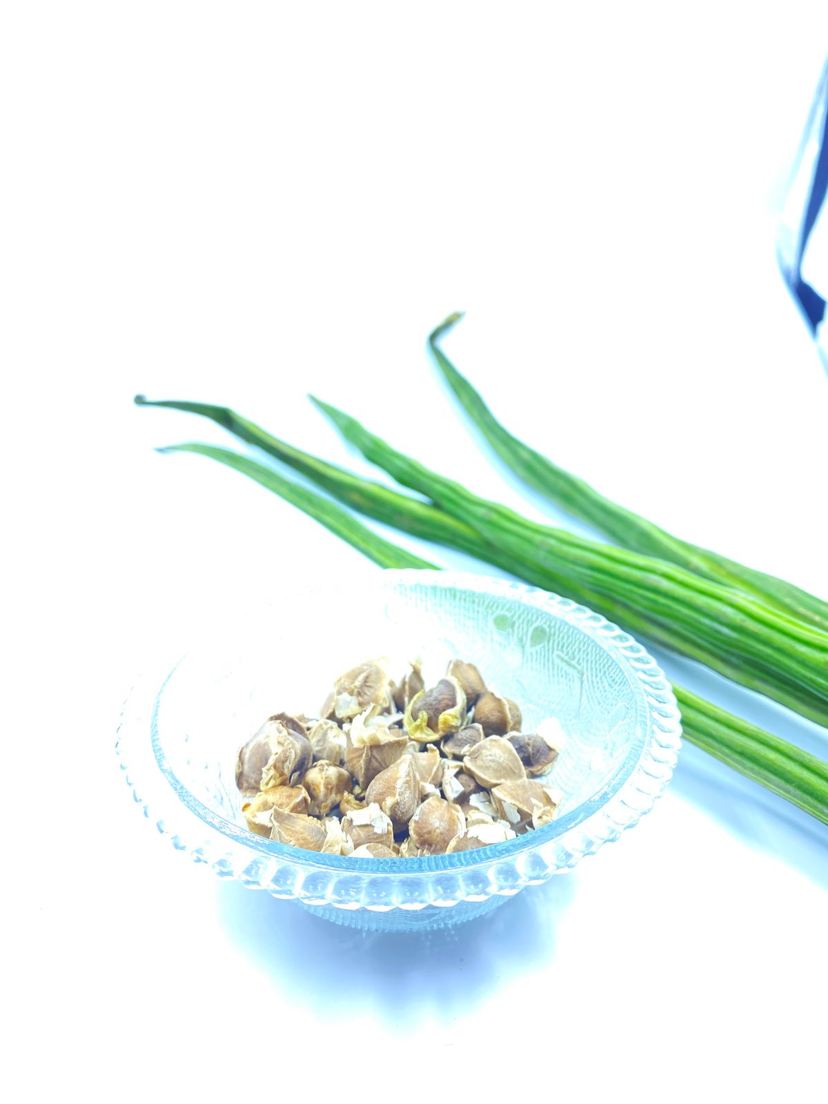 Desi Drumstick Seeds (Moringa Seeds) | Premium Quality | Natural Superfood