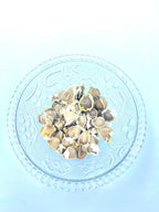 Desi Drumstick Seeds (Moringa Seeds) | Premium Quality | Natural Superfood