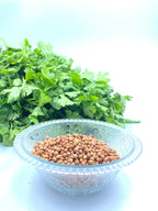 Desi Coriander Seeds | Premium Quality | Natural Spice