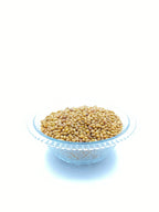 Moth Beans Matki | Protein Rich Sprouting Beans | Dhaani Foods