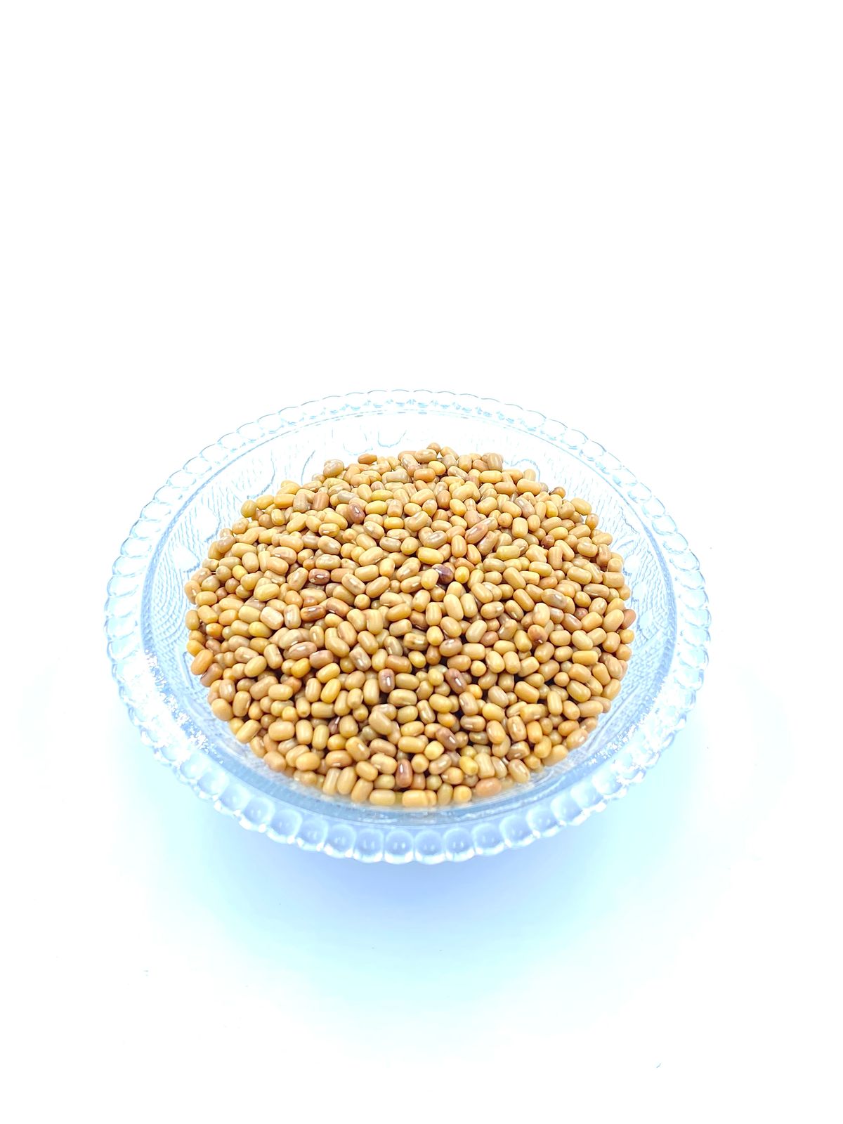 Moth Beans Matki | Protein Rich Sprouting Beans | Dhaani Foods