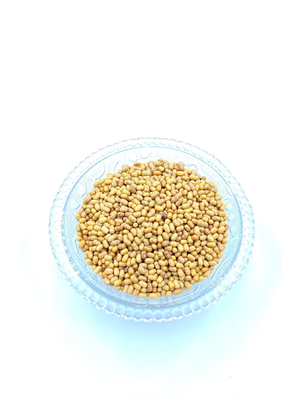 Moth Beans Matki | Protein Rich Sprouting Beans | Dhaani Foods