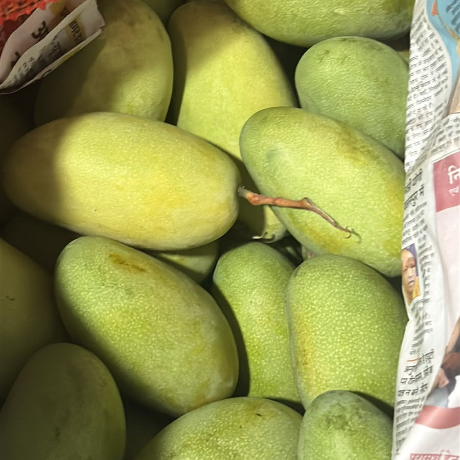 Dasheri Mangoes - 5kg