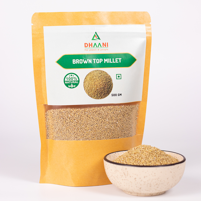 Brown Top Millet 