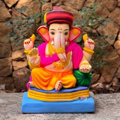 14" Brahman no 12 cm