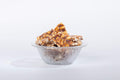 Chikki by Dhaani Foods – Crunchy Traditional Sweet