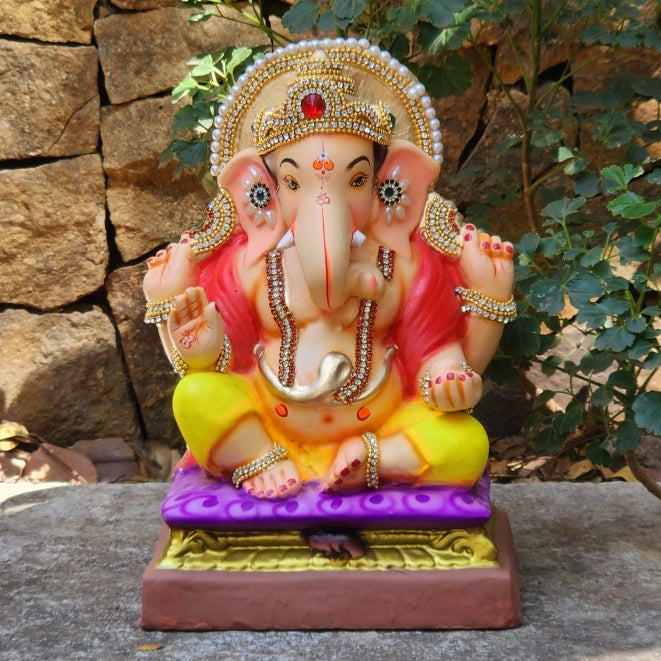 10" Chaurang DY