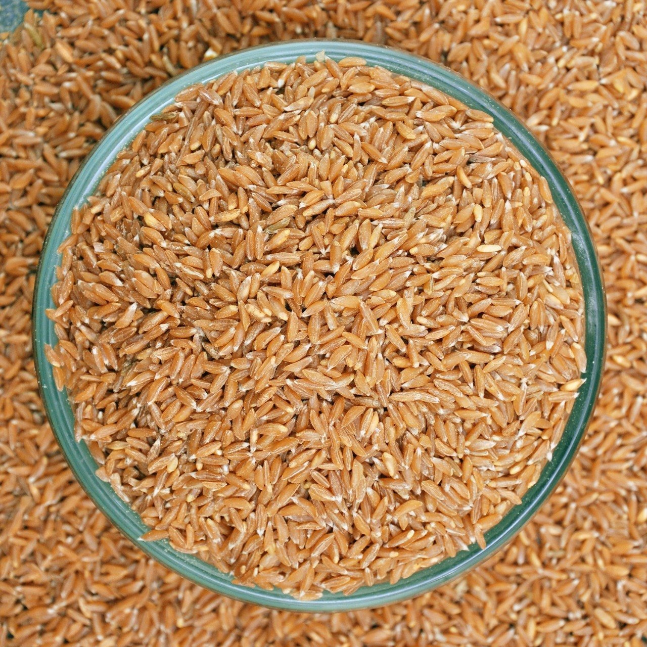 Premium Khapli Wheat Flour | Soft & Nutritious Atta