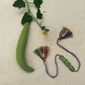 Seed Rakhi pack (with chawal and Kumkum) - Every Stone is a life (Rainbow Bel) with  Roselle, Amaranthus, Purslane seeds