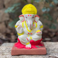 No 20 Lotus Idol 6"