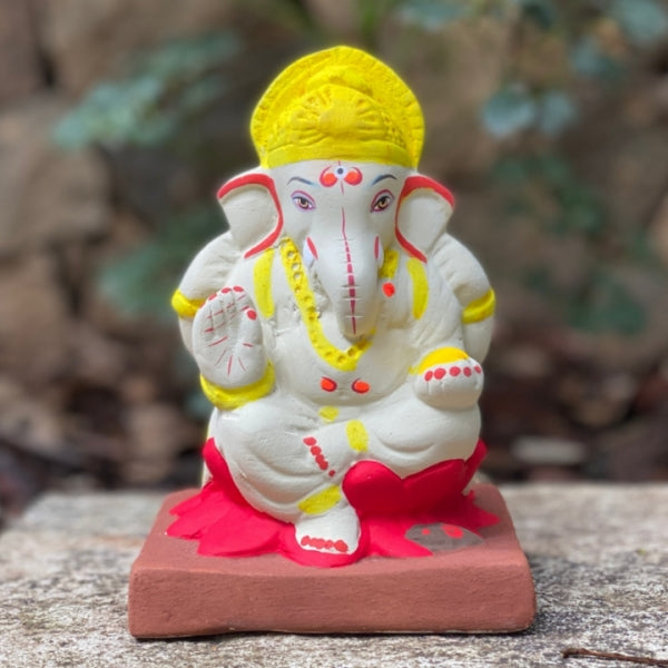 No 20 Lotus Idol 6"