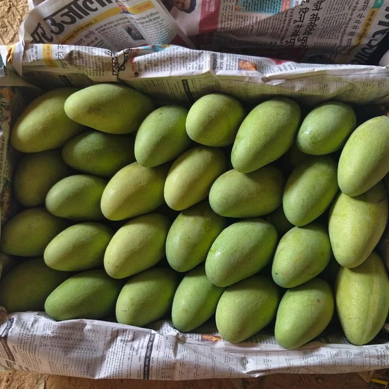 Dasheri Mangoes - 5kg