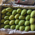 Dasheri Mangoes - 5kg