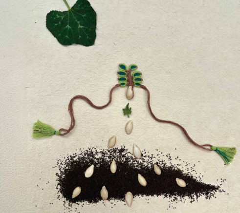 Seed Rakhi pack (with chawal and Kumkum) - Tree Rakhi with Pumpkin, Amaranthus, Purslane seeds