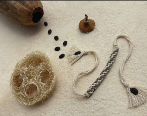 Seed Rakhi pack (with chawal and Kumkum) - Worm & Soils with Bixa, Amaranthus, purslane seeds