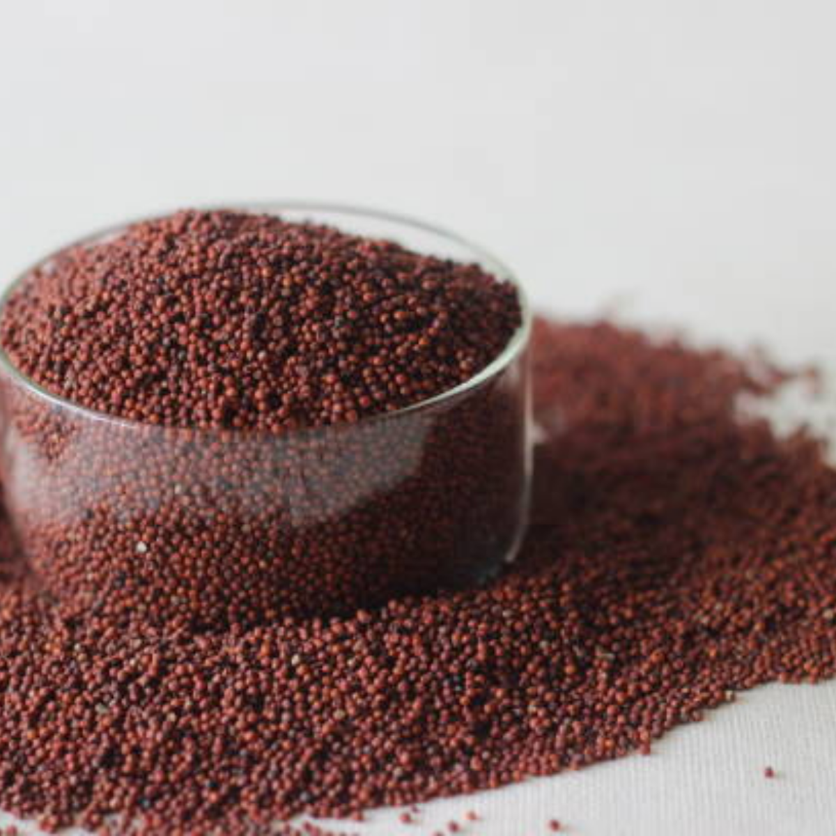 Ragi Millet | Nachni High Calcium Healthy Grain | Dhaani Foods